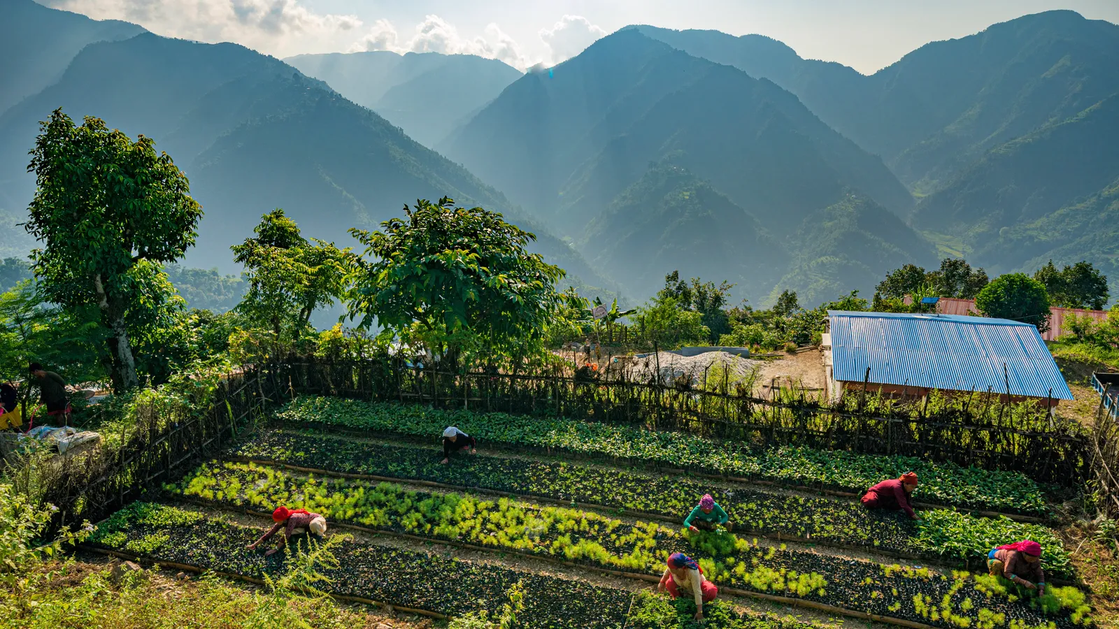 Sustainable agriculture project in Nepal